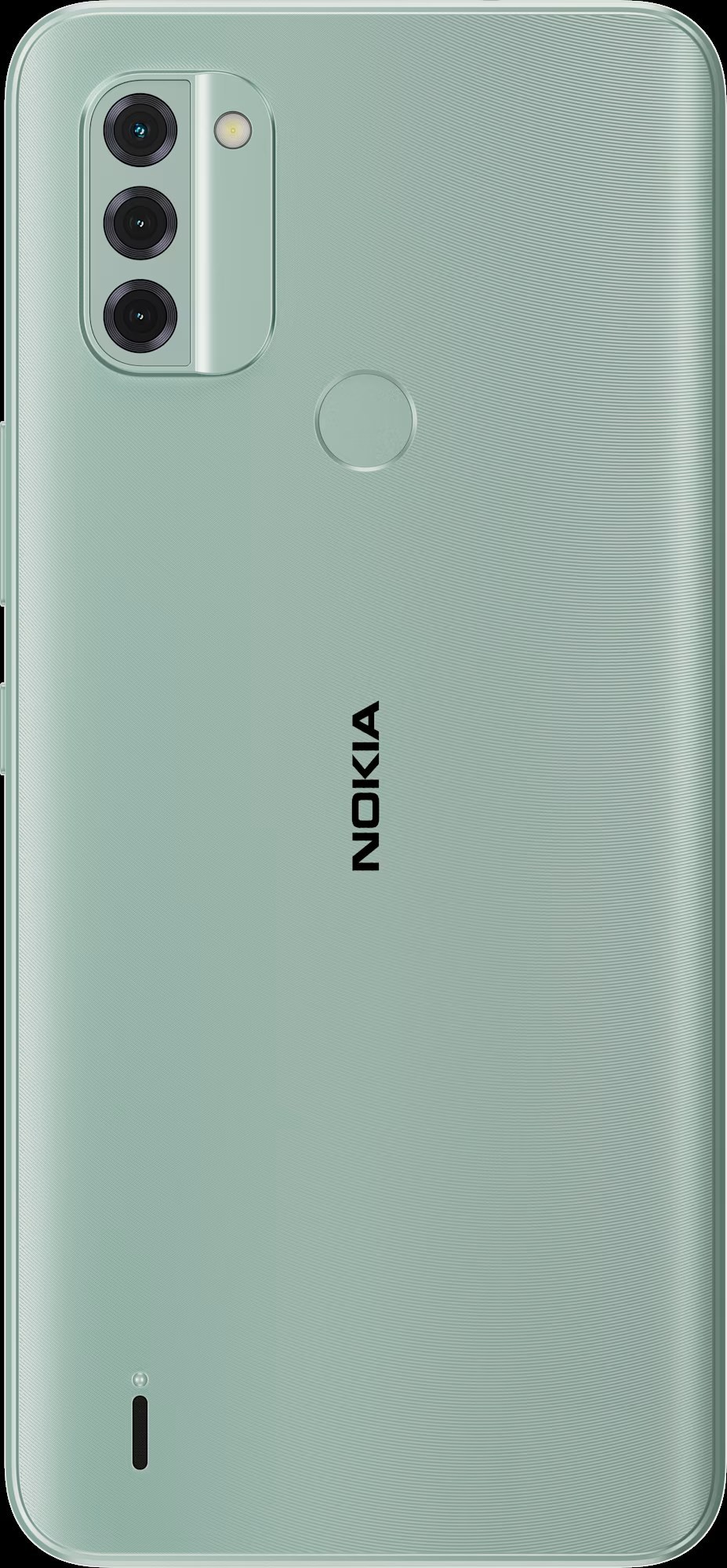 Nokia C31